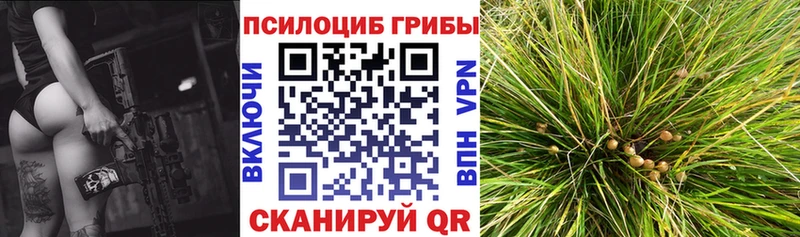 кракен вход  Химки  Псилоцибиновые грибы прущие грибы 